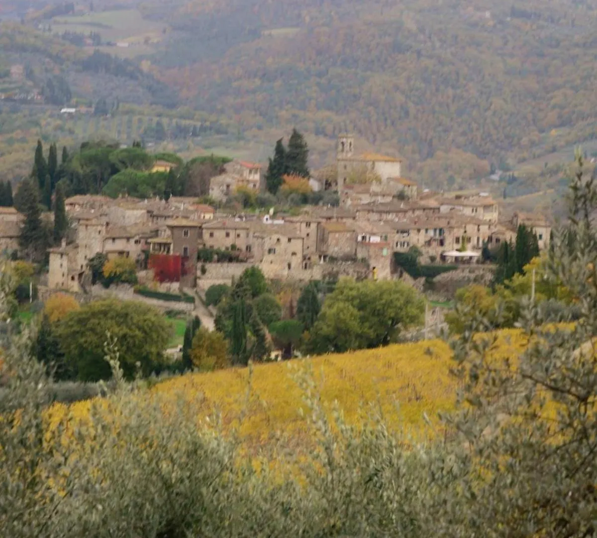 La Meridiana In Montefioralle Greve in Chianti Apartment
